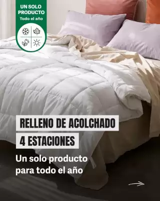Arredo (válido hasta 25-08)