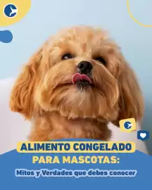 Catálogo Puppis Página 1
