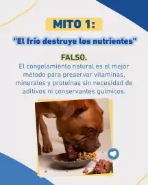Catálogo Puppis Página 2