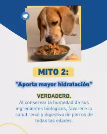 Catálogo Puppis Página 3