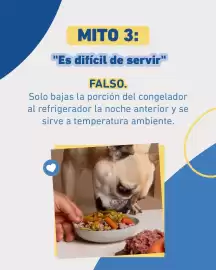 Catálogo Puppis Página 4