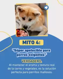 Catálogo Puppis Página 5