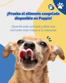 Catálogo Puppis Página 6