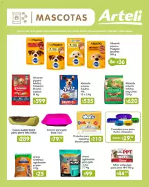 Folleto Arteli Página 17: Purina Dog Chow €620,00, Boris arenero para gato €79,90