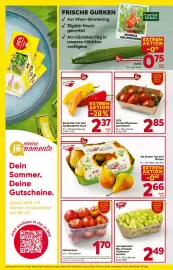 Billa Corso Flugblatt woche 35 Seite 8