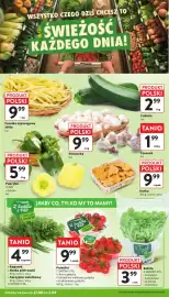 Intermarche gazetka tydzień 35 Strona 12: Fasolka szparagowa żółta €9,99, Cukinie €2,99