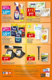 Auchan gazetka | Supermarket Strona 8: Agrowłóknina antychwastowa Bradas €7,99, Szpilki do mocowania Bradas €4,99