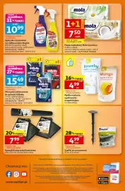 Auchan gazetka | Supermarket Strona 8: Agrowłóknina antychwastowa Bradas €7,99, Szpilki do mocowania Bradas €4,99