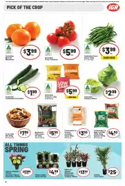 IGA catalogue week 35 Page 15