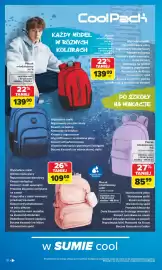 Carrefour gazetka Strona 18