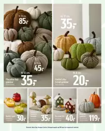 Føtex tilbudsavis Side 58: Svamp eller pindsvin keramik €35,00, Keramik græskar €119,00