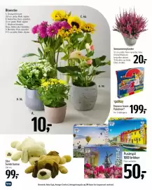 Føtex tilbudsavis Side 60: Pokemon Hvem er hvem Pokemon? €199,00, My Best Friend Stor hunde bamse €99,00
