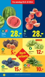 Lidl tilbudsavis Side 22: Økologisk vandmelon €28,00, Sveskeblommer €15,00