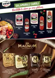 Catalog Mega Image Pagină 32