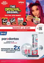 Catalog Mega Image Pagină 40