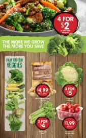 Spudshed catalogue week 35 Page 4: Grape or Cherry Tomatoes €1,99, Cauliflower €5,00
