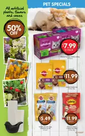 Spudshed catalogue week 35 Page 8: Pedigree Dentastix Large or Medium Dog 7pk €5,49, Schmackos Meaty Medley €11,99