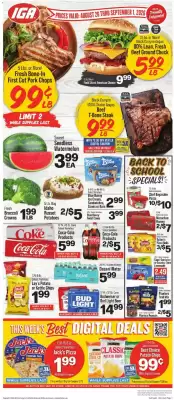 IGA (valid until 1-09)