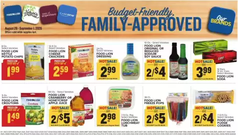 Food Lion weekly ad week 35 Page 14
