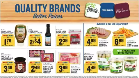 Food Lion weekly ad week 35 Page 16