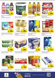 Nesto catalogue Page 12