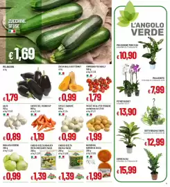 Volantino IperFamila Pagina 5: Rucola Maxxi Cuor di Scelta €1,39, Insalata mista croccante maxxi Cuor di Scelta €1,39