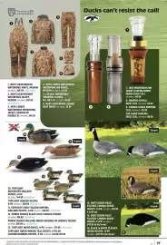Canadian Tire flyer Page 17