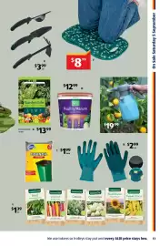ALDI catalogue week 36 Page 13: Kneeling Pad €8,99, Garden Life Organic Sugar Cane Mulch €13,99