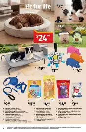 ALDI catalogue week 36 Page 4: Fit fur life €24,99, Petmate Dog Bed €19,99