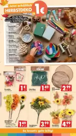 Mäc Geiz Prospekt woche 36 Seite 3