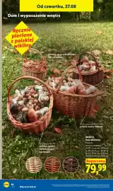 Lidl gazetka tydzień 35 Strona 46
