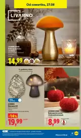 Lidl gazetka tydzień 35 Strona 47: LIVARNO Dekoracja LED €19,99, LIVARNO Dekoracja jesienna z terakoty €14,99