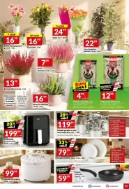 Twój Market gazetka tydzień 35 Strona 25: Frytkownica bez tłuszczowa MPM €199,99, Podłoże uniwersalne €12,99
