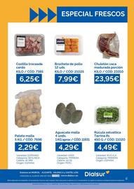 Folleto Dialsur Cash & Carry semana 35 Página 2