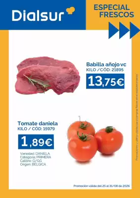 Folleto Dialsur Cash & Carry (válido hasta el 31-08)