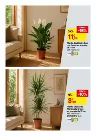 Catálogo Leroy Merlin Página 72: Home - planta spathiphyllum con flores en maceta de 17 cm €11,99