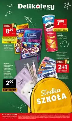 Delikatesy Centrum gazetka (ważność do 2-09)