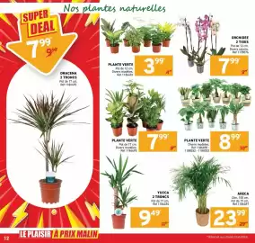 Catalogue Trafic semaine 35 page 12: PLANTE VERTE €8,99, PLANTE VERTE €7,99