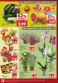 Kaufland gazetka tydzień 35 Strona 5