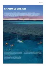 Folheto Abreu Página 13