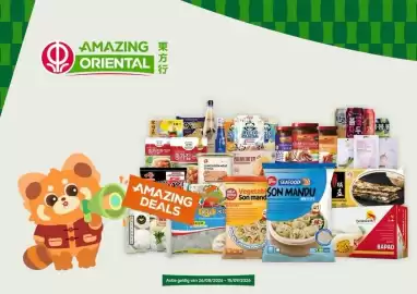 Amazing Oriëntal folder Pagina 1