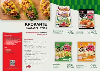 Amazing Oriëntal folder Pagina 5