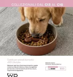 Catalogo Stanhome Pagina 59