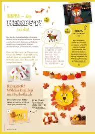 Pagro Diskont Flugblatt Seite 16