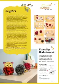 Pagro Diskont Flugblatt Seite 17