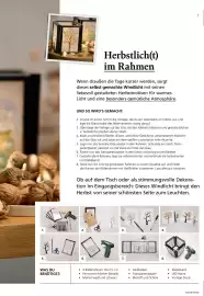 Pagro Diskont Flugblatt Seite 7