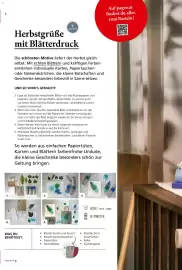 Pagro Diskont Flugblatt Seite 8