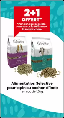 Truffaut (valable jusqu'au 6-09)