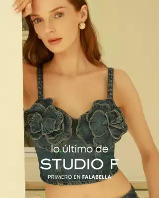 Falabella (válido hasta 31-08)