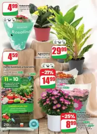 Dino gazetka tydzień 35 Strona 58